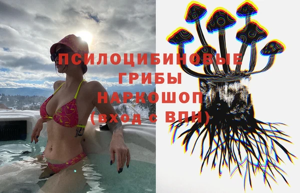 ПСИЛОЦИБИНОВЫЕ ГРИБЫ Дмитровск
