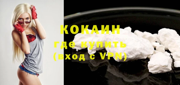 крисы Дмитров