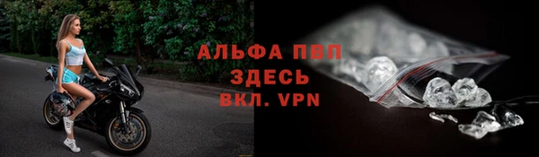 крисы Дмитров