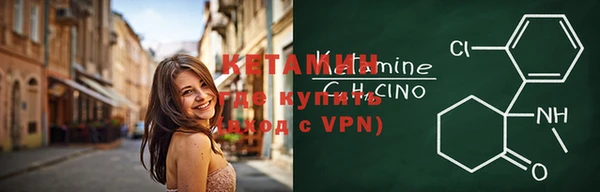 крисы Дмитров