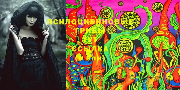 крисы Дмитров