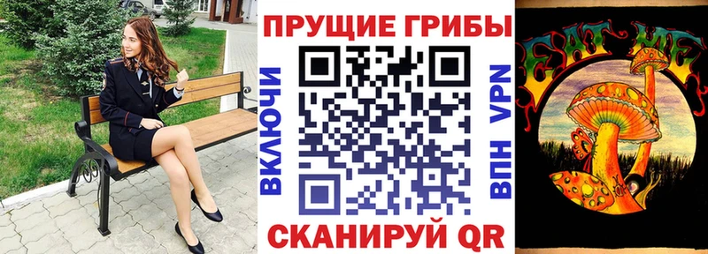 Галлюциногенные грибы Magic Shrooms  Купить закладки  Кингисепп 